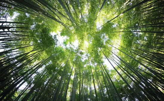 Copyright: unsplash.com