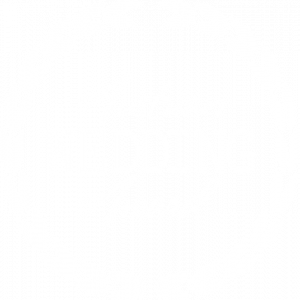 Austrian Wedding Award Logo Weiss